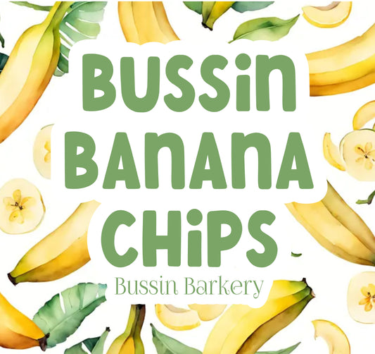 Bussin Banana Chips Snack Bag!