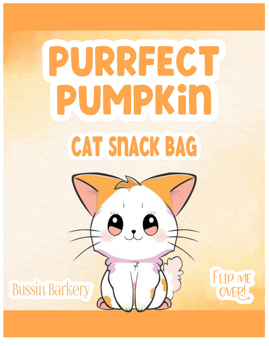 Purrfect Pumpkin Cat Snack Bag!