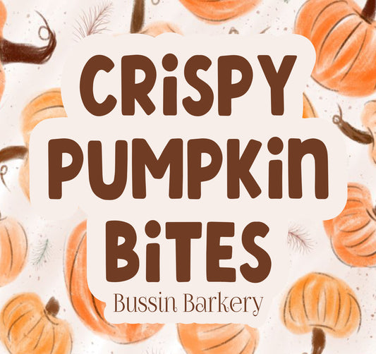 Crispy Pumpkin Bites Snack Bag!